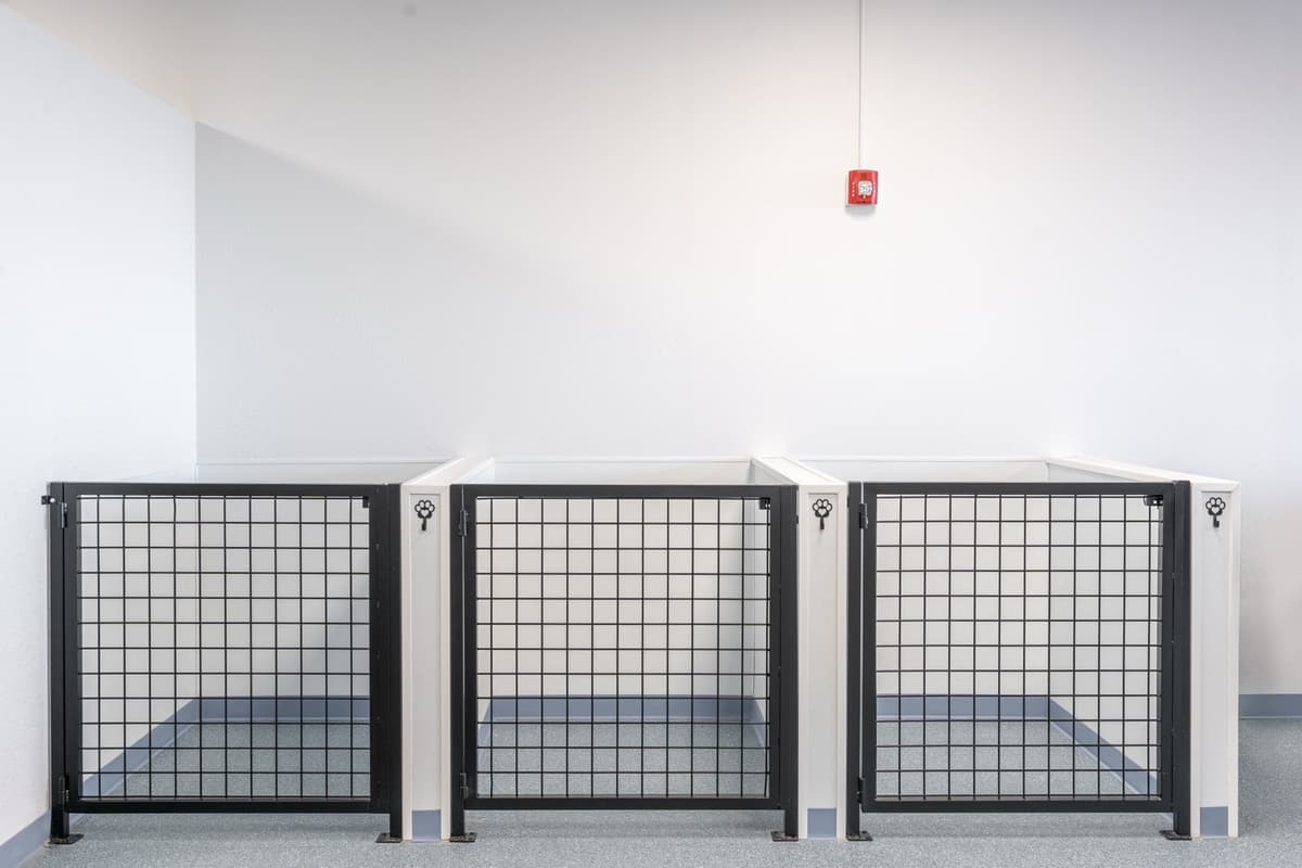 Completed boarding pens with custom gates at Scruffy's Soggy Dog Salon