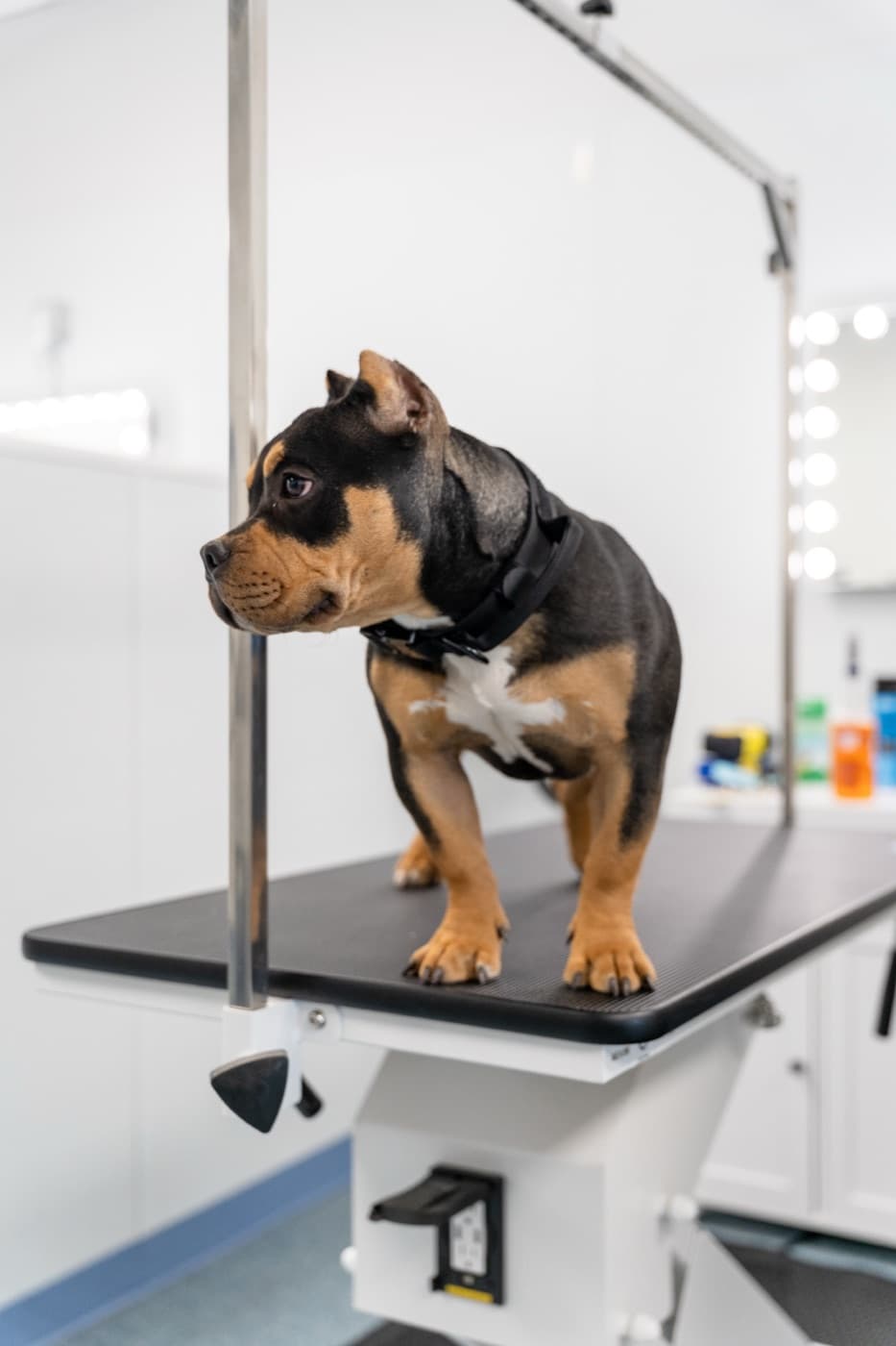 Grooming station in use - adjustable table and tether arm installation