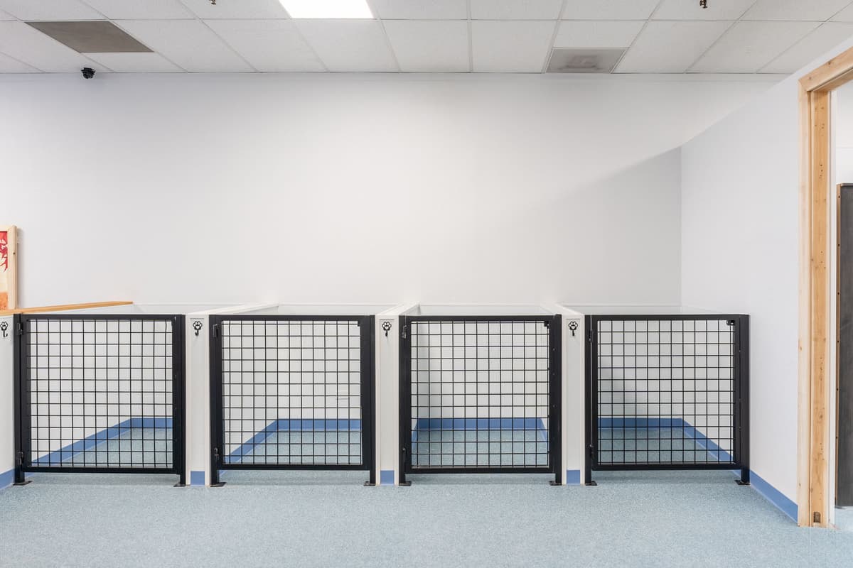 Completed grooming area with specialty flooring