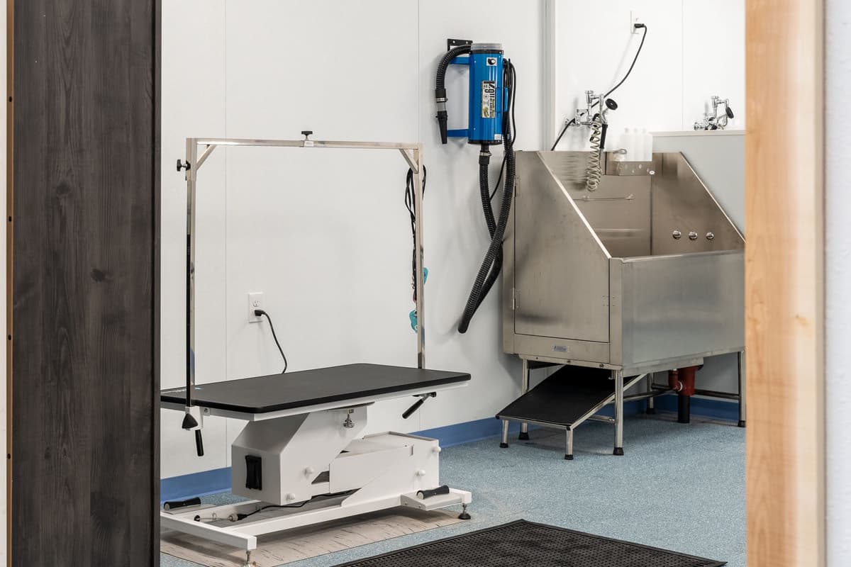 Scruffy's Soggy Dog reception and retail display area