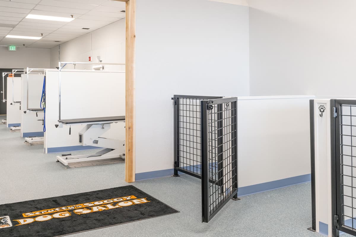 Scruffy's Soggy Dog Salon construction progress - framing and plumbing rough-in