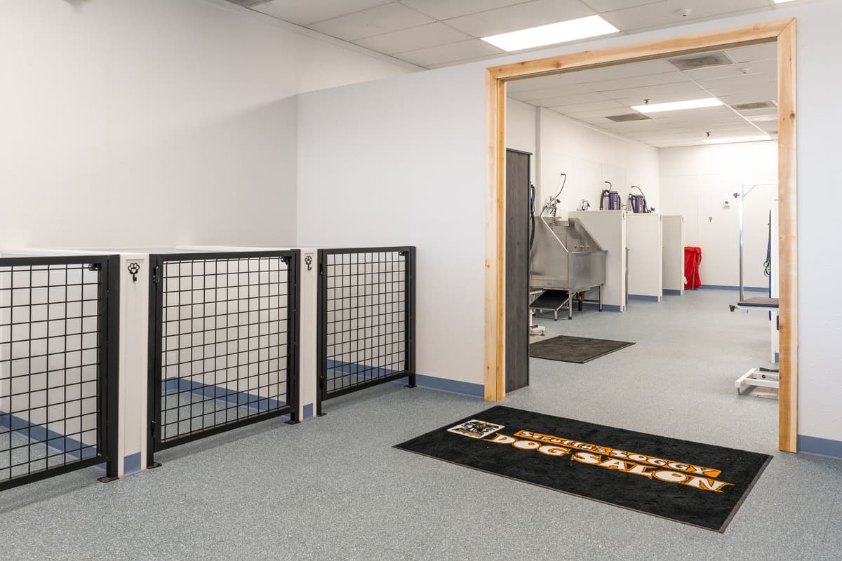 Grooming station plumbing installation at Scruffy's