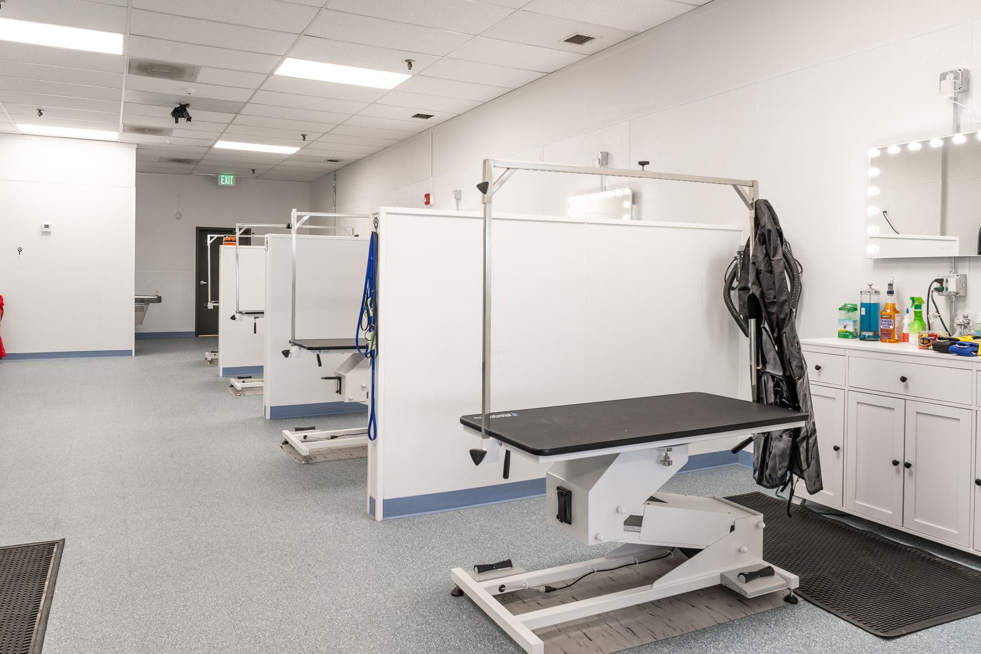 Scruffy's Soggy Dog Salon